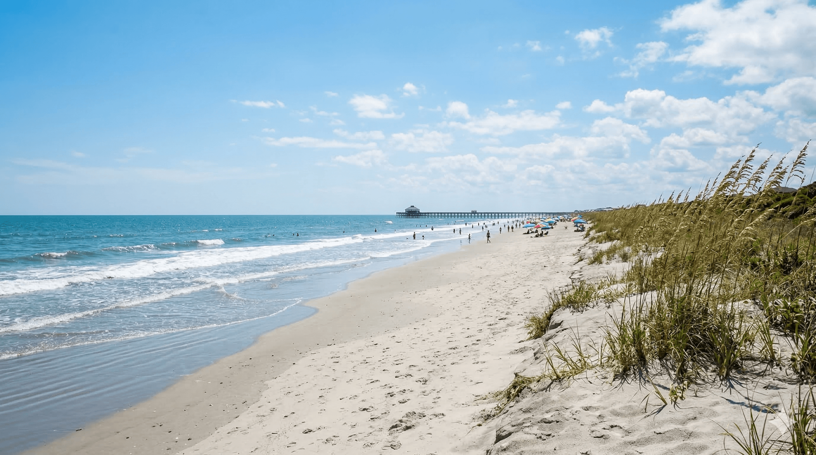 Folly Beach Rules — Everything You Need to Know